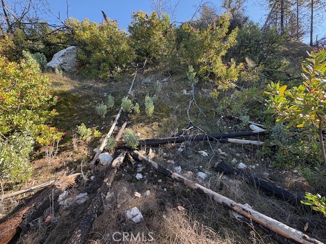 Detail Gallery Image 10 of 34 For 8870 Oro Quincy, Berry Creek,  CA 95916 - – Beds | – Baths