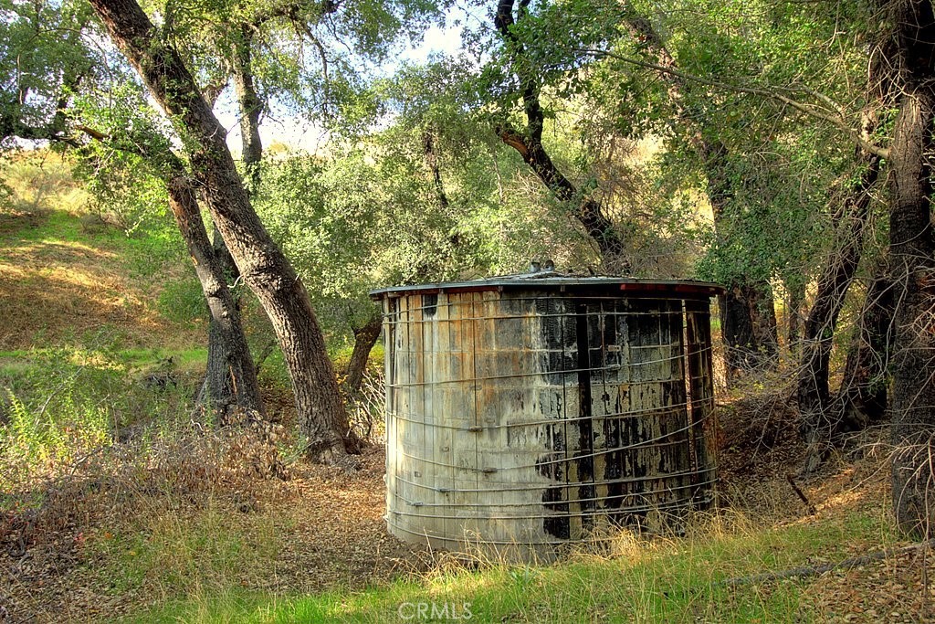 MLS #IG25034144 img 37