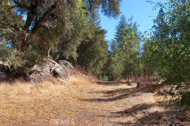 Detail Gallery Image 63 of 64 For 45893 45899 Sutton Dr, Oakhurst,  CA 93644 - 4 Beds | 4 Baths