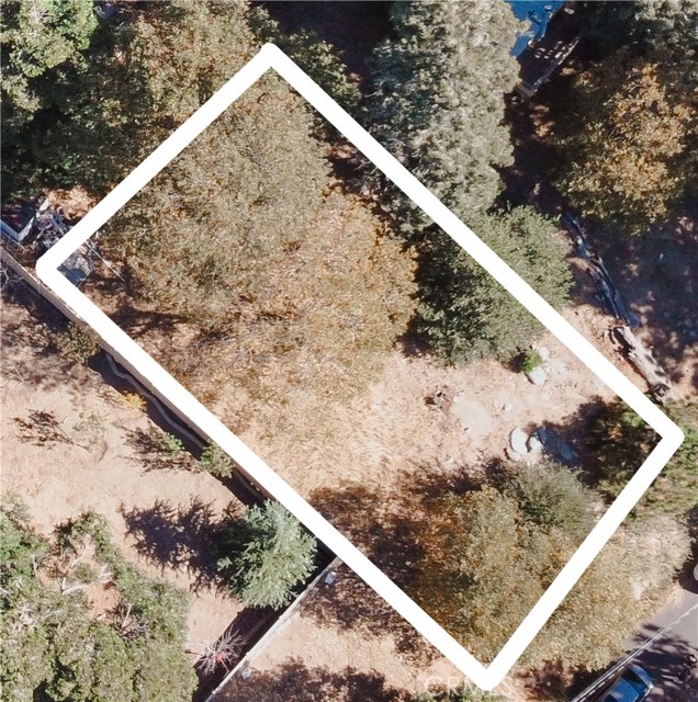 Front Image Thumbnail for CRCV25257447