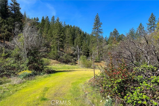 Detail Gallery Image 13 of 35 For 1271 Lake, –,  CA 96048 - – Beds | – Baths