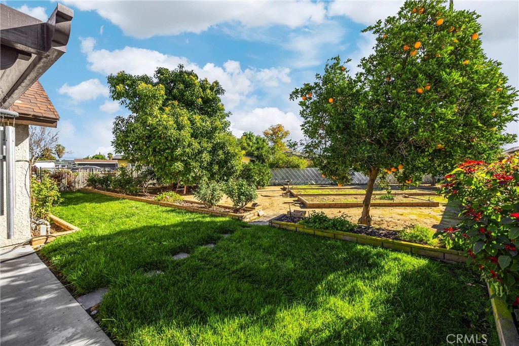 MLS #WS25277903 image #19