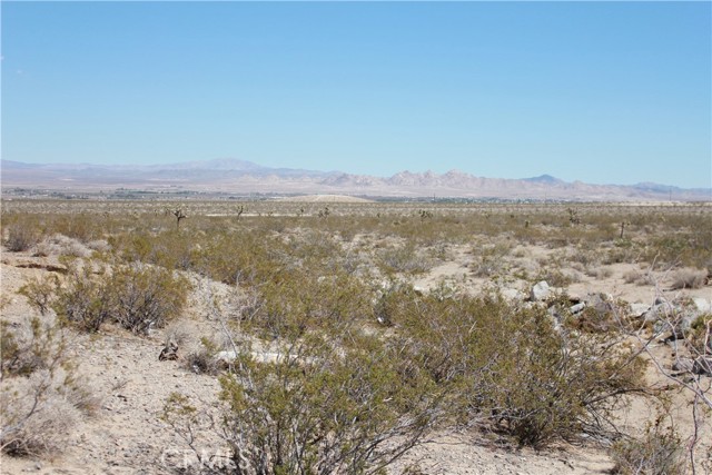 Detail Gallery Image 52 of 71 For 769 Meridian Rd, Lucerne Valley,  CA 92356 - – Beds | – Baths