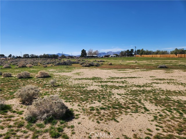 Detail Gallery Image 8 of 20 For 0 Yucca Rd, Newberry Springs,  CA 92365 - – Beds | – Baths