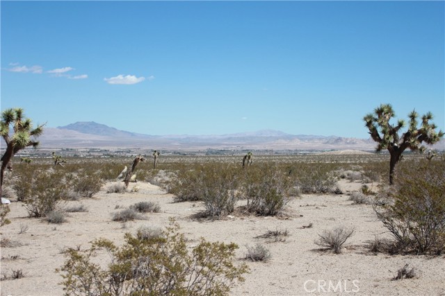 Detail Gallery Image 71 of 71 For 769 Meridian Rd, Lucerne Valley,  CA 92356 - – Beds | – Baths