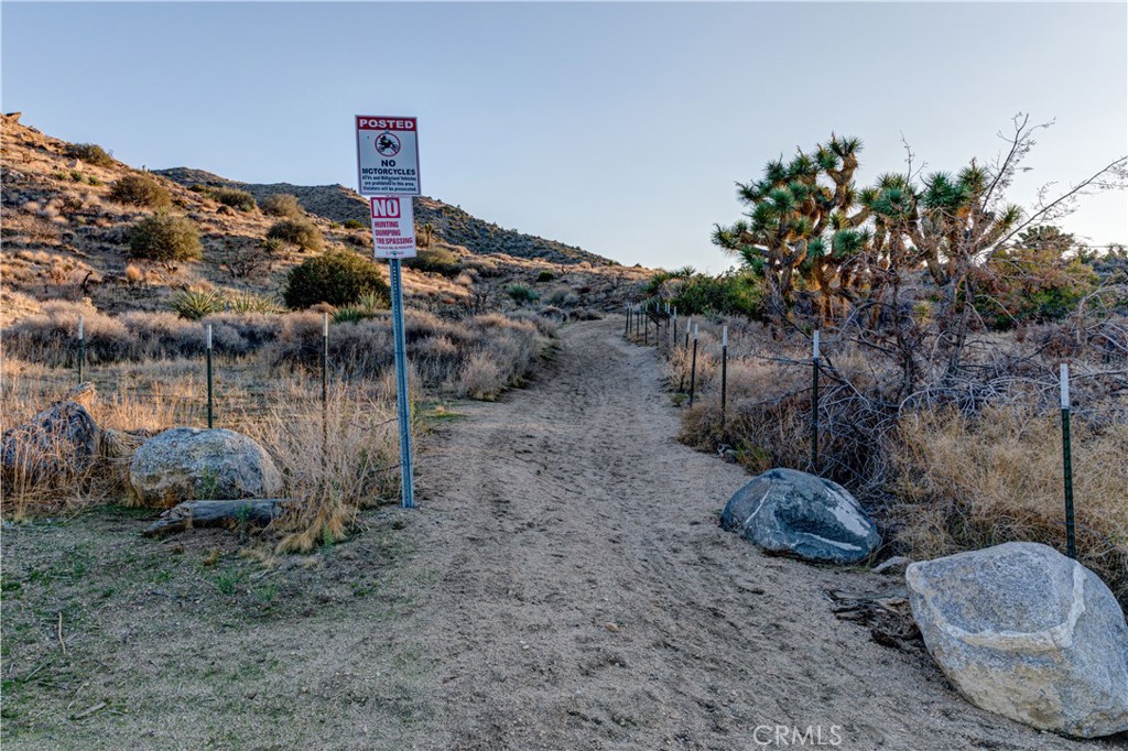 MLS #JT25229239 image #7