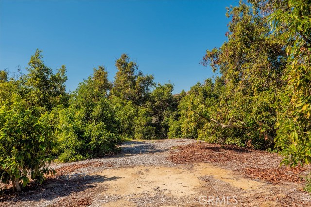 Detail Gallery Image 5 of 12 For 15 Camaron Rd, Temecula,  CA 92590 - – Beds | – Baths