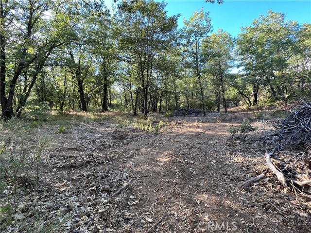 9204 Diamond Dust Trail, Kelseyville, California 95451, ,Land,For Sale,9204 Diamond Dust Trail,CRLC23163658