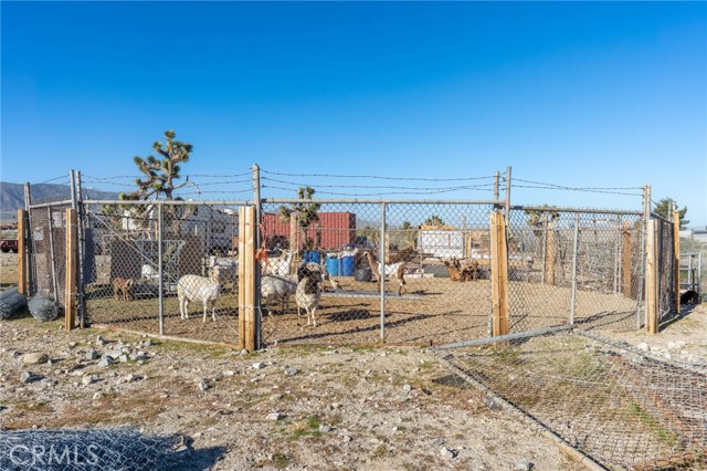 Detail Gallery Image 25 of 26 For 11074 Redwood, Pinon Hills,  CA 92372 - 4 Beds | 2 Baths