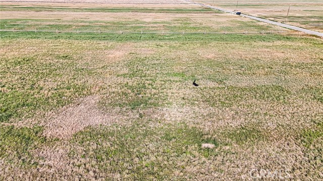 Image 17 of 30 For 9450 Avenue F