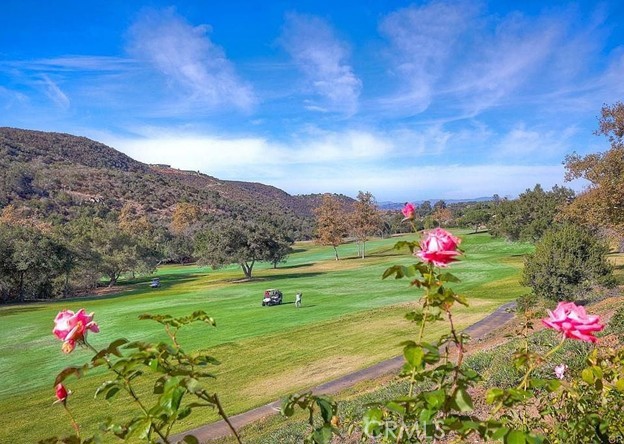 29092 Laurel Valley Drive, Vista CA: https://media.crmls.org/medias/138dba7c-5815-4cf6-a953-5a762cb2f2b1.jpg