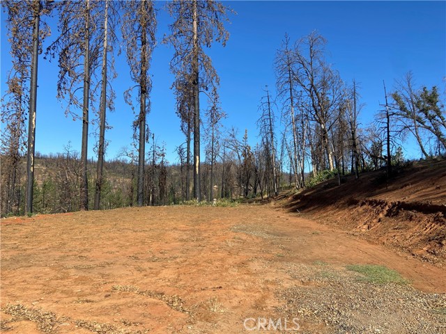 3154 Wild Dove Lane, Mariposa, California 95338, ,Land,For Sale,3154 Wild Dove Lane,CRMP23148188