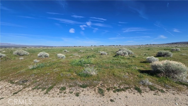 Detail Gallery Image 6 of 36 For 0 Vicinity Ave B12 & 265th St W, –,  CA 93536 - – Beds | – Baths