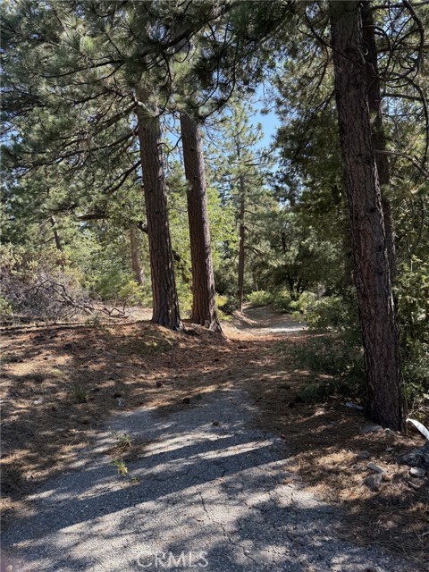 0 Ca-38, Angelus Oaks CA: https://media.crmls.org/medias/139550f1-09b3-4e42-b740-a5a18e92ab60.jpg