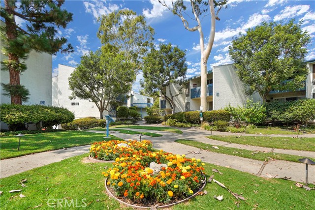 Immaculate grounds Immaculate grounds