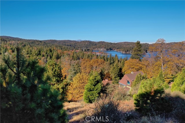 202 Hidden Forest Road, Lake Arrowhead, California 92352, ,Land,For Sale,202 Hidden Forest Road,CREV23214554