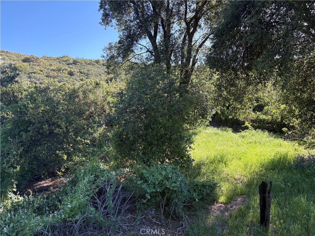 MLS #SW25110189 image #1