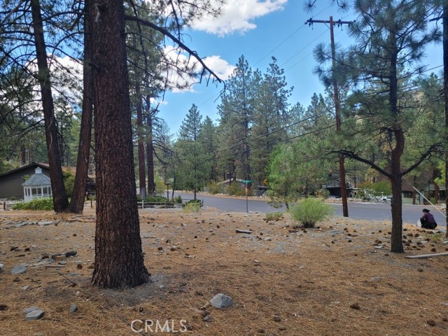 Detail Gallery Image 1 of 3 For 0 Lodgepole Dr, Wrightwood,  CA 92397 - – Beds | – Baths