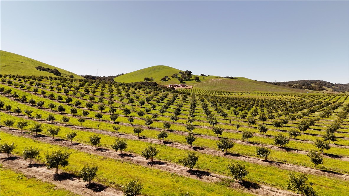 Image 6 of 48 For 5502 Los Ranchos Road