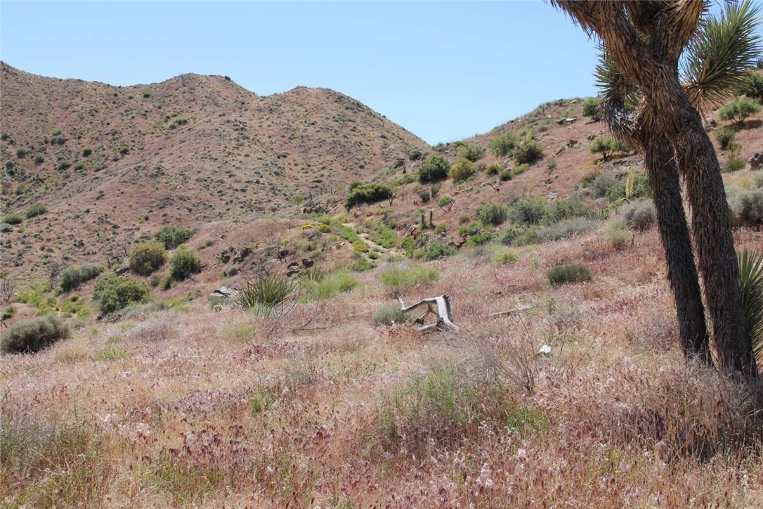 Detail Gallery Image 4 of 24 For 15 Eagles Nest, Yucca Valley,  CA 92284 - – Beds | – Baths