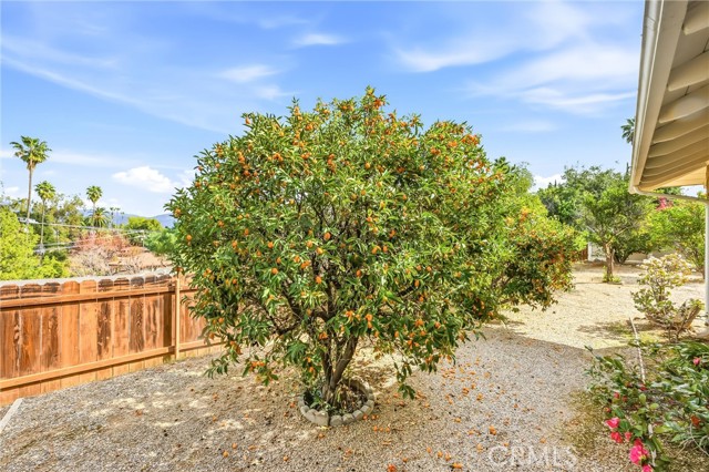 Detail Gallery Image 43 of 49 For 1631 Benita Marie Crest, Redlands,  CA 92373 - 3 Beds | 2 Baths