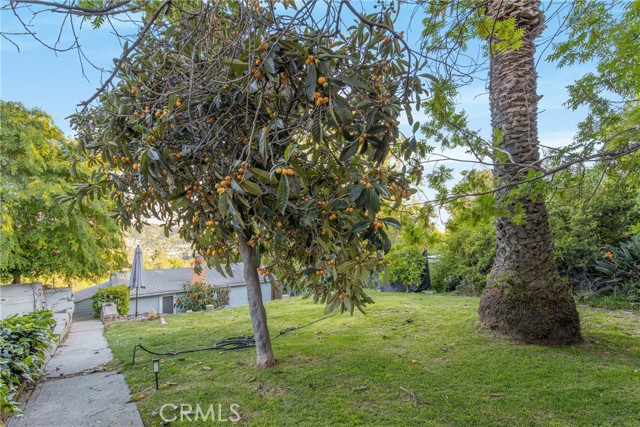 3814 San Rafael Avenue, Los Angeles CA: https://media.crmls.org/medias/13a51913-db66-4e46-9b3c-d4408c093540.jpg