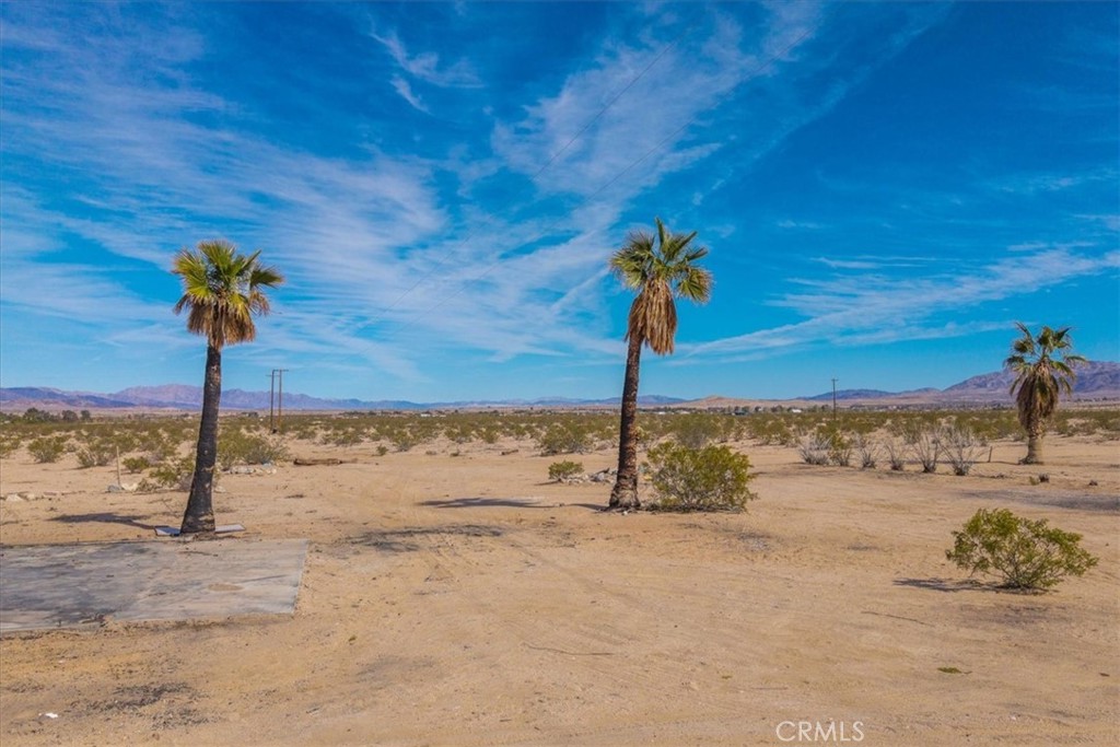 MLS #JT25029805 image #11