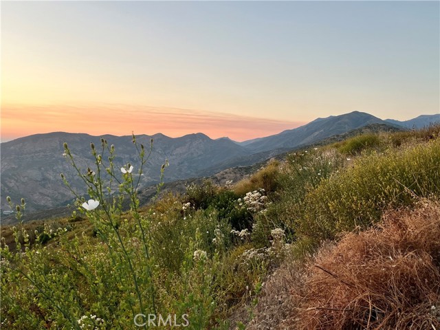 Detail Gallery Image 5 of 17 For 10 Williams Canyon Rd, Silverado Canyon,  CA 92676 - – Beds | – Baths