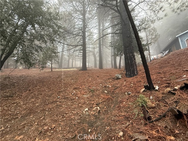 Detail Gallery Image 2 of 14 For 0 Poplar, Running Springs,  CA 92382 - – Beds | – Baths