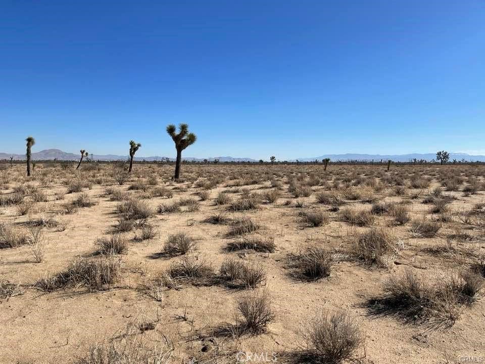 MLS #HD25000657 image #25