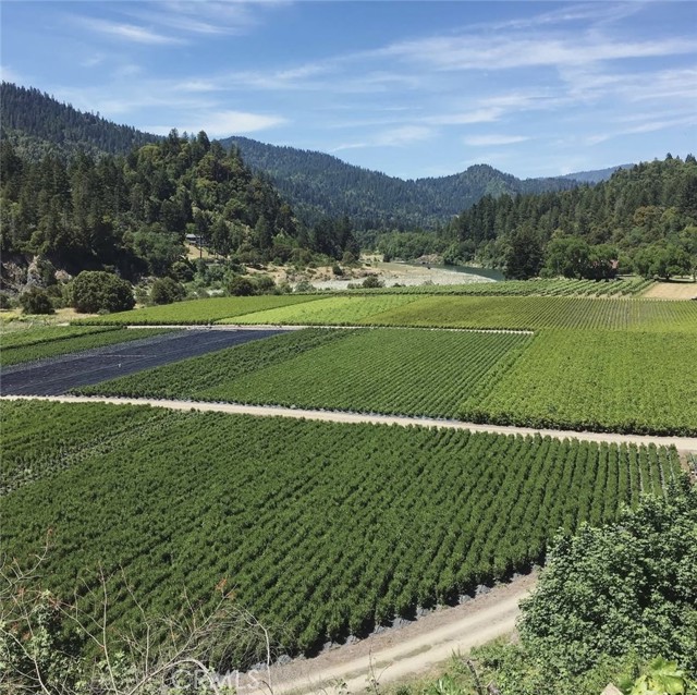 2172 Patterson Road, Willow Creek CA: https://media.crmls.org/medias/13b39066-89d1-4a53-b364-830dd0c8ecb9.jpg