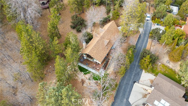 Detail Gallery Image 52 of 63 For 28227 Arbon Ln, Lake Arrowhead,  CA 92352 - 3 Beds | 3/1 Baths