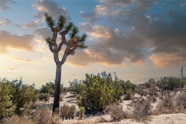 Detail Gallery Image 2 of 15 For 56600 Duarte St, Yucca Valley,  CA 92284 - – Beds | – Baths