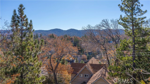 Detail Gallery Image 4 of 32 For 28204 Arbon Ln, Lake Arrowhead,  CA 92352 - 5 Beds | 4 Baths