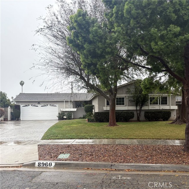 Front Image Thumbnail for CRIV26033268