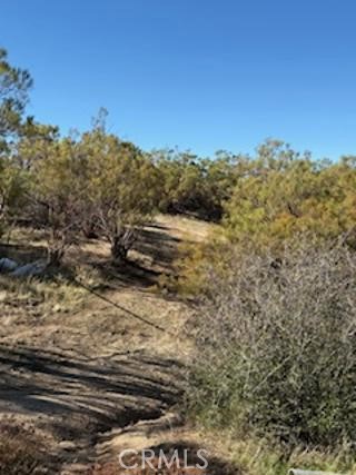 MLS #SW25227735 image #15