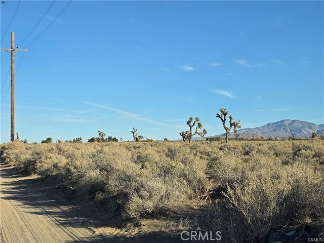 Detail Gallery Image 3 of 4 For 800 Desert View Rd, Lucerne Valley,  CA 92356 - – Beds | – Baths