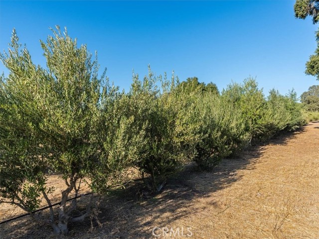 Detail Gallery Image 16 of 67 For 1845 Lupine L Ln, Templeton,  CA 93446 - 2 Beds | 1 Baths