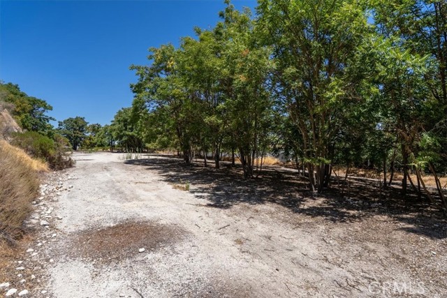 0 Vine Street, Paso Robles CA: https://media.crmls.org/medias/13c5eed0-b32d-461e-a8de-7fe5d70234b5.jpg