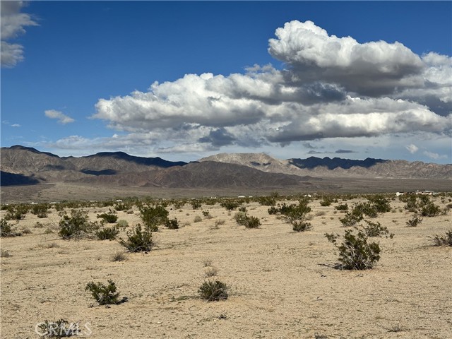 Front Image Thumbnail for CRJT25266833