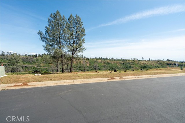 172 Redbud Drive, Paradise, California 95969, ,Land,For Sale,172 Redbud Drive,CRSN23069278