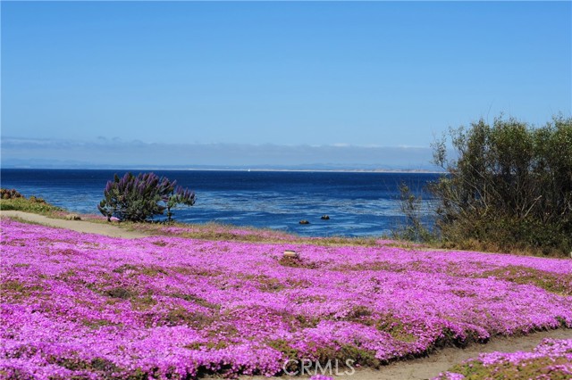 Detail Gallery Image 5 of 34 For 2308 Golden Oaks Ln, Monterey,  CA 93940 - 2 Beds | 1 Baths