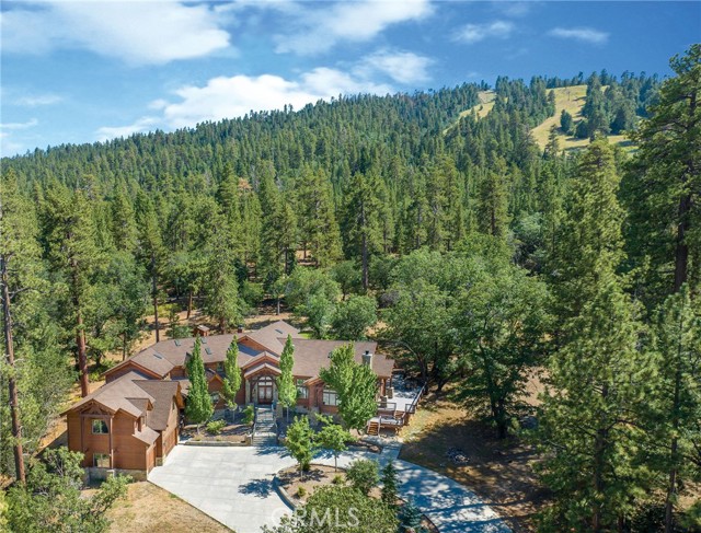 42143 Switzerland Drive, Big Bear CA: https://media.crmls.org/medias/13dafe5e-9a31-46a9-b8f1-1bb63e8d30a4.jpg