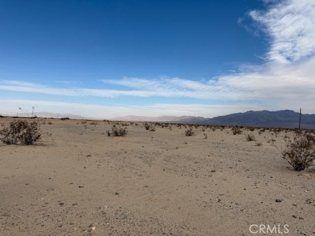 MLS #JT25021321 image #3