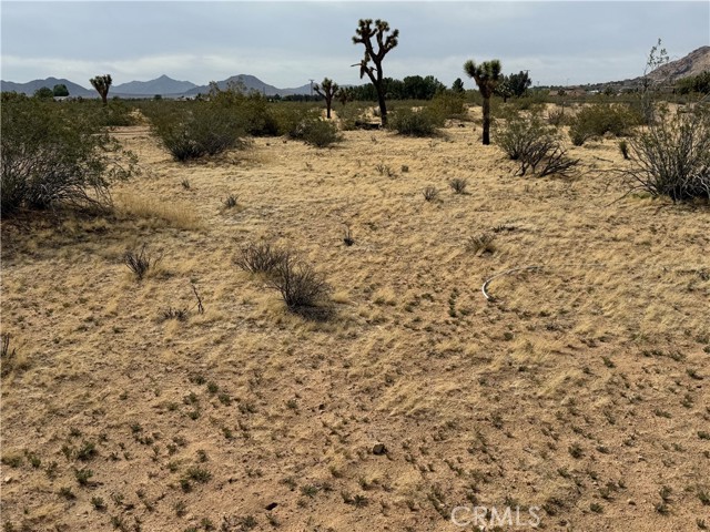 Detail Gallery Image 22 of 32 For 0 Japatul Rd, Apple Valley,  CA 92307 - – Beds | – Baths