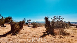 https://media.crmls.org/medias/13ef858c-4851-4b10-b3bd-650703c2b15d.jpg?preset=X-Large