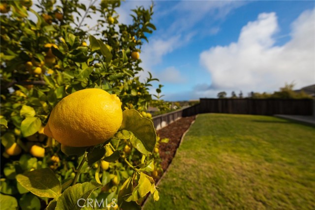 5727 Capeswood Drive, Rancho Palos Verdes, California 90275, 4 Bedrooms Bedrooms, ,2 BathroomsBathrooms,Residential,For Sale,Capeswood,SB25034276