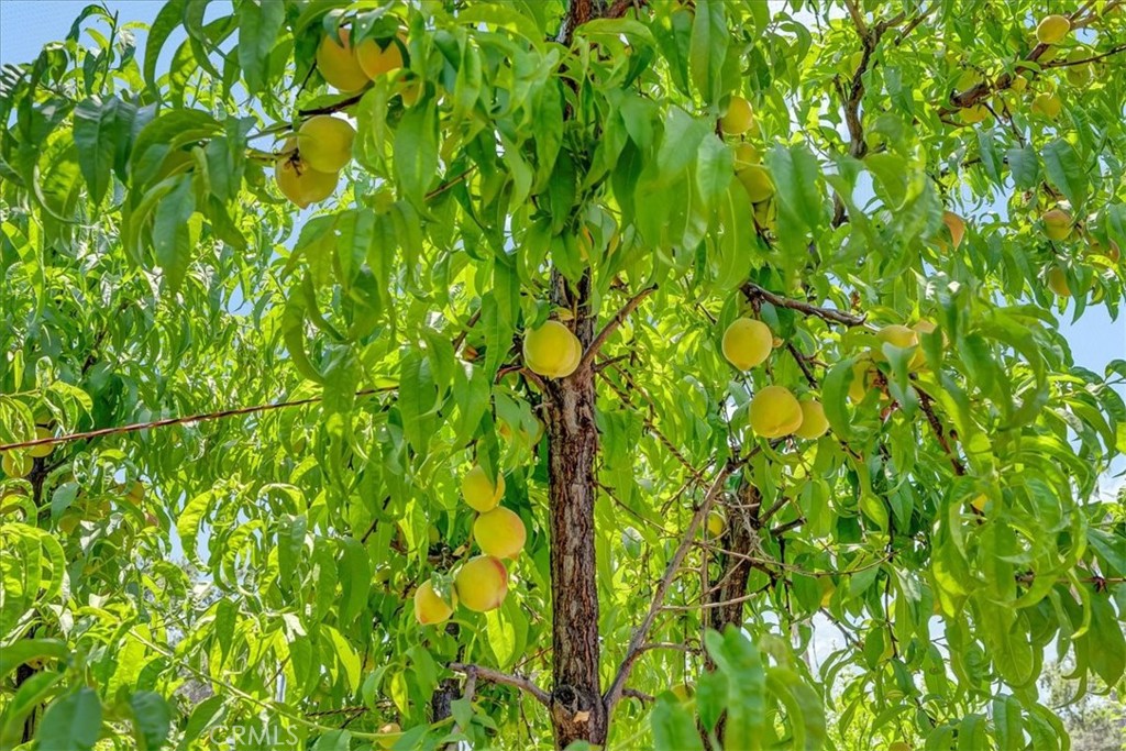 https://media.crmls.org/medias/13f60104-a140-4a1d-8a07-fafdd0621c07.jpg?preset=X-Large