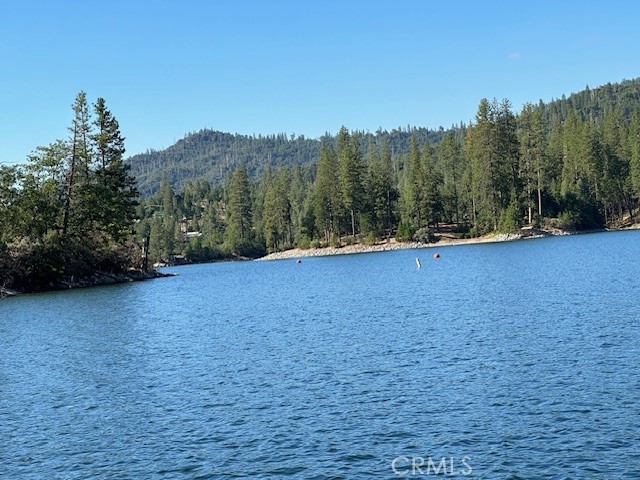 Detail Gallery Image 49 of 50 For Address Is Not Disclosed, Bass Lake,  CA 93604 - 4 Beds | 4 Baths