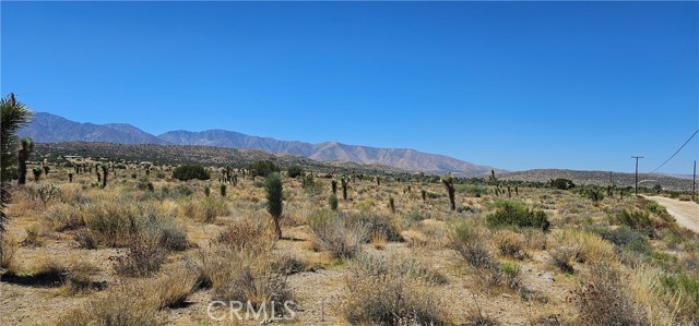 Detail Gallery Image 5 of 6 For 0 Ft Tejon/Vic Bob Gaps Rd, Llano,  CA 93544 - – Beds | – Baths